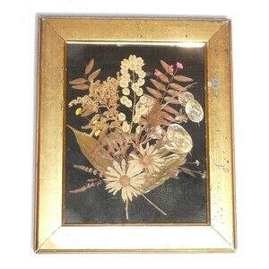 Vintage Dried Pressed Flowers Leaves Daisy Fern Gold Frame Wall Hanging 10x12.5”